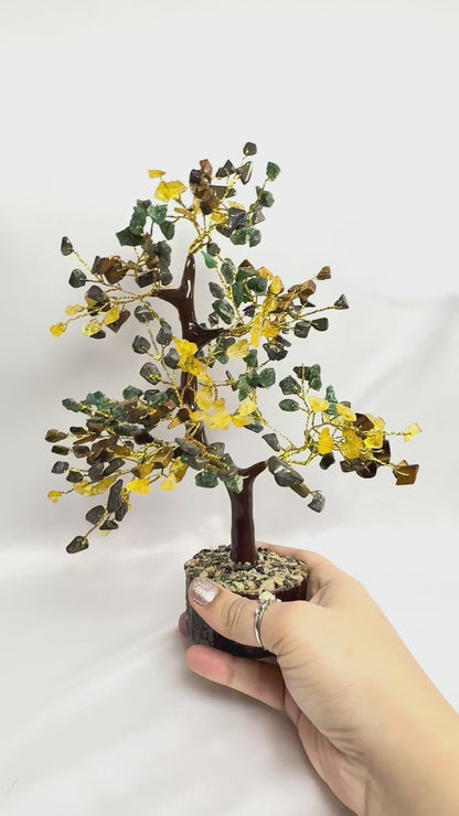 Money Magnet Tree